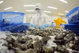 RoK increases import of Vietnam’s shrimps