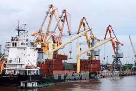 Ships from China to be quarantined before entering Hai Phong 