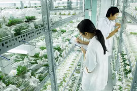 Thai Nguyen eyes stronger hi-tech agriculture cooperation with Israel