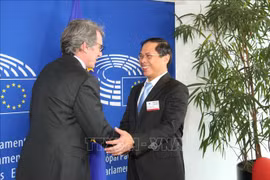 Vietnam wants to further promote partnership with EU: Deputy FM 