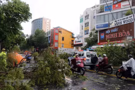 Red Cross increases emergency stockpiles in response to Typhoon Noul