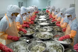 Shrimp industry confident of reaching 2020 export target: Minister