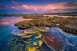 National tourism art photo competition launched 