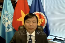 Vietnam reviews 2020 performance of ASEAN Committee in New York