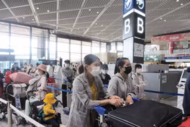Over 340 Vietnamese citizens return home from Japan