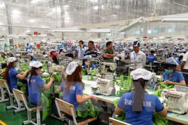 HCM City licences 30,000 new businesses in nine months