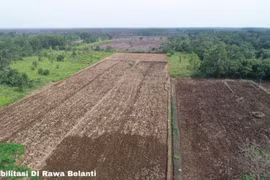 Indonesia expands rice fields on Borneo island