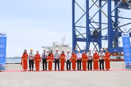 Cranes shipped to port in Ba Ria-Vung Tau province