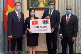 Vietnam offers aid to Maldives to battle COVID-19