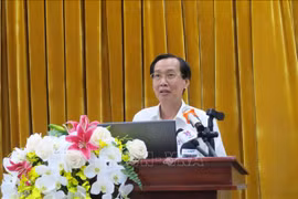 HCM City aims to complete new-style rural area building in 2020