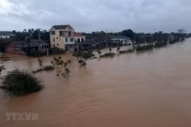 Vietnam thanks international organisations for disaster relief