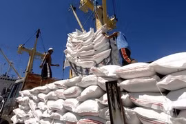 Vietnam to increase rice exports to EU under EVFTA