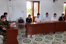 Deputy PM directs resolutely preventing illegal entry into Vietnam 