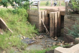 Drought destroys over 40,000ha of rice in Cambodia 