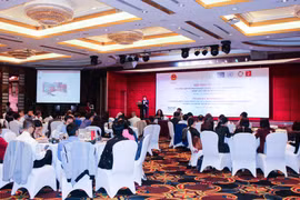 Vietnamese diplomats get training on services to vulnerable women migrant workers