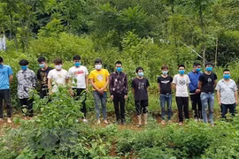Foreigners arrested for illegal entry into Vietnam