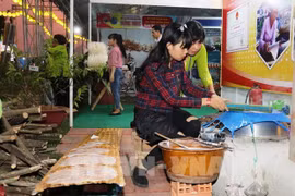 Fair highlights specialties of four southern provinces
