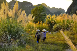 Ninh Binh expects to welcome 7.8 million tourists in 2020