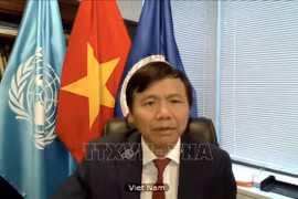 Vietnam highlights role of international law in maintaining peace, security