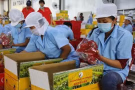 Agricultural imports, exports fall due to COVID-19