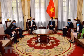 Vietnam, Czech Republic joining hands against COVID-19 