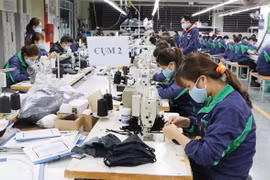 Coronavirus fight: MoF exempts import tax on five commodity groups