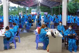 More Vietnamese citizens flown home from Europe 