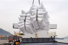 Prime Minister requests inspection over rice exports