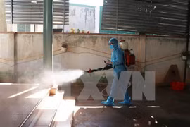 Czech newspaper: Let's be inspired by Vietnam in coronavirus battle