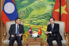Fatherland Front leader receives Lao counterpart