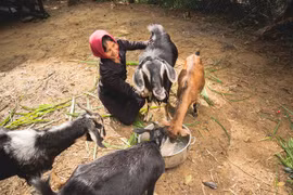 Project enriches life in Central Highlands