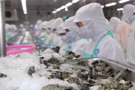 Sao Ta Food plans to buy back 2 million treasury shares