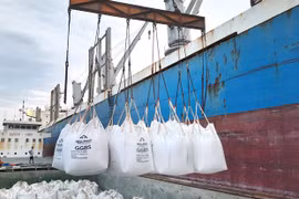 Vietnam exports S95 construction material for first time