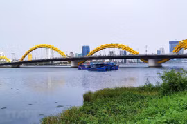Da Nang’s economy hit hard by COVID-19