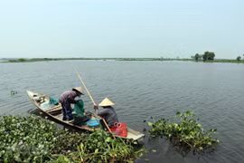 Thua Thien-Hue to build bird sanctuary in O Lau estuary area