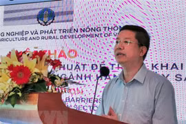 Vietnam’s seafood exports to EU predicted to down 20 percent 