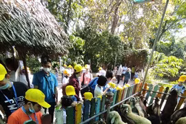 Tet tour season hit by COVID-19 fears