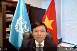 Vietnam, Indonesia ask to resolve Central Africa’s root of instability