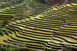 Northwestern provinces move to promote travel demand