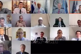 Vietnam supports UN observer force’s activities in Golan Heights
