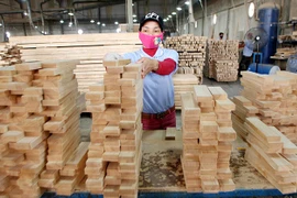 Twelve products may face trade origin fraud investigation: Authority