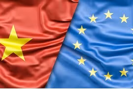 Webinar discusses opportunities from EVFTA for French investors
