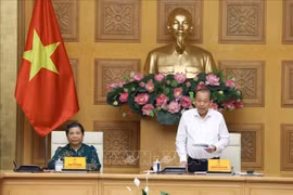 Preparations for second National Congress of Vietnamese Ethnic Minorities discussed 