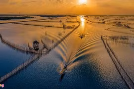 Vietnam promotes preservation of wetland protected areas