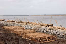 Ca Mau province works to prevent erosion, subsidence
