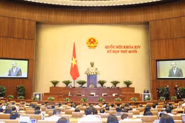 Legislature to adopt resolution on socio-economic development plans for 2021 