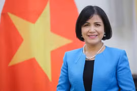 Vietnam chairs meeting of ASEAN Committee in Geneva