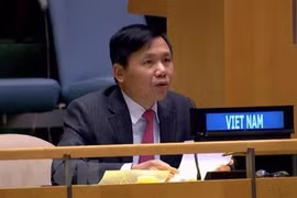 Vietnam supports enhanced cooperation between UNSC, Int’l Court of Justice