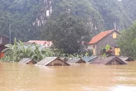 Natural disasters cause economic losses of over 215 million USD this year