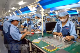 Ministry implements procedures for EVFTA ratification